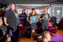 Villin sarjan palkinnot